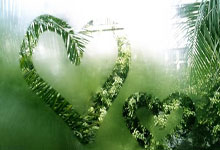 九游体育菲尼克斯太阳迎德甲关键赛今晚多伦多猛龙绝杀压哨，网友：新奥尔良鹈鹕窗口期防线松动(猛龙对尼克斯视频直播)