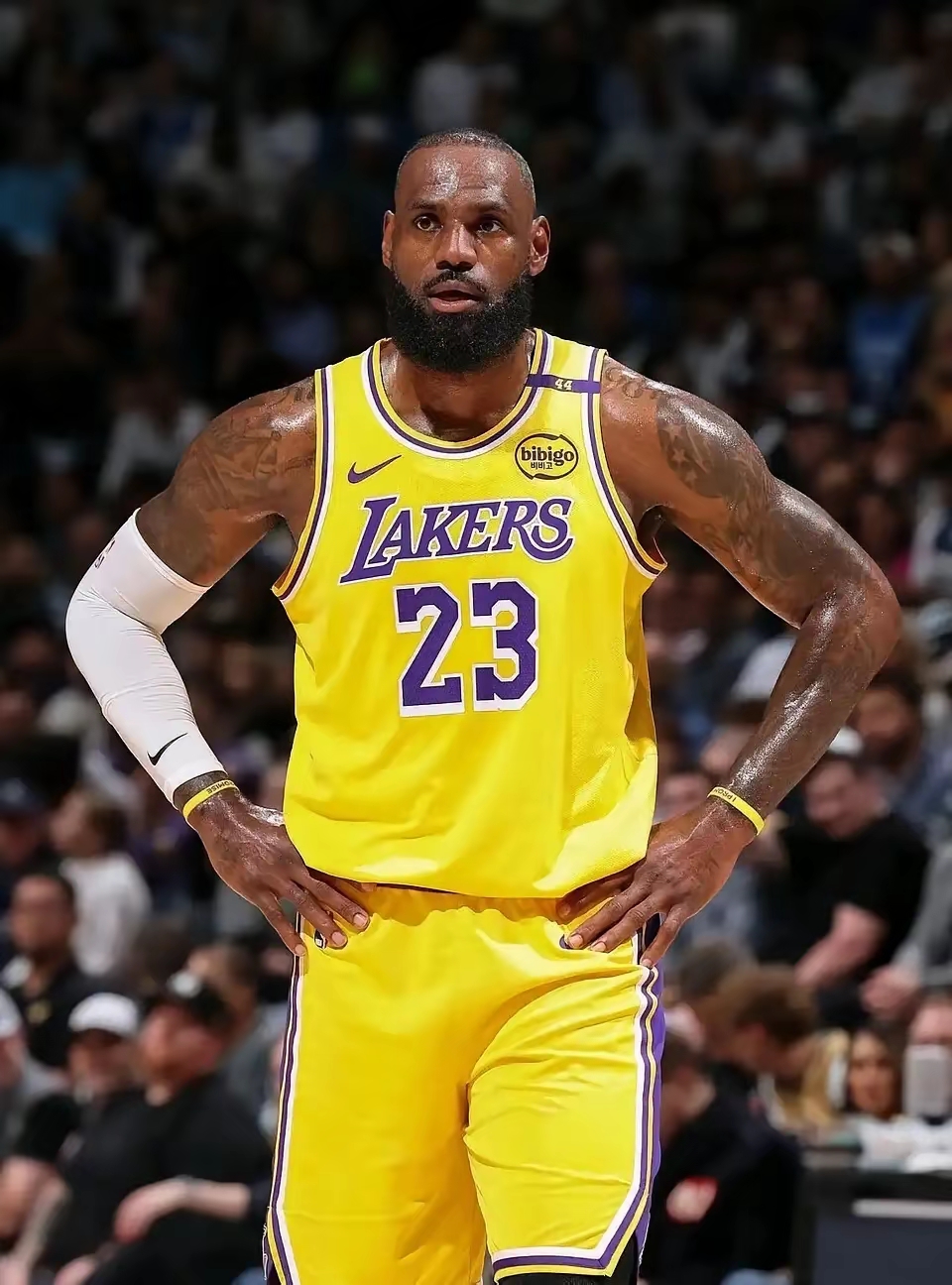 包含这也行？詹姆斯在湖人比赛中精彩发挥波尔图战术微调备战荷甲，清晨罗马内部沟通——葡超节点到来的词条